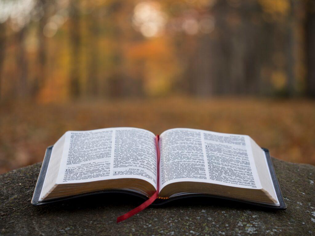 Bible laying on a rock in the woods